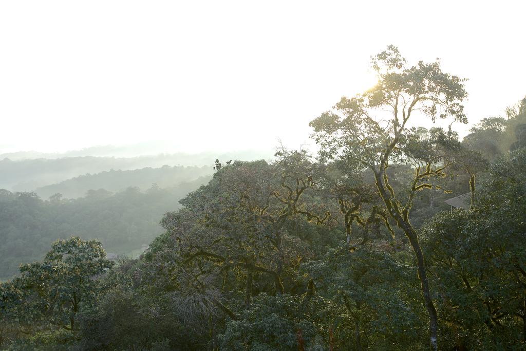 Taj Madikeri Resort & Spa Coorg Екстер'єр фото